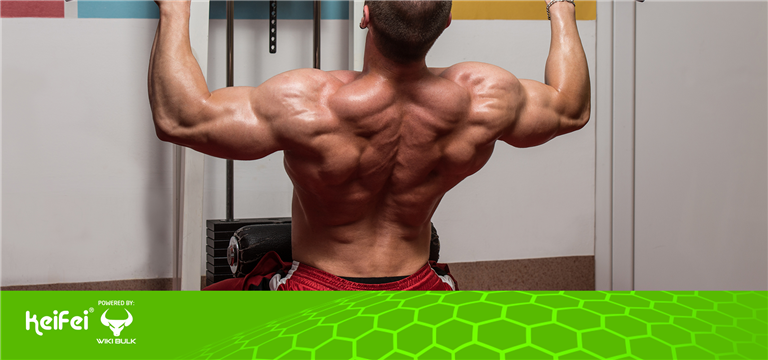 Muscle Mastery with Supplements