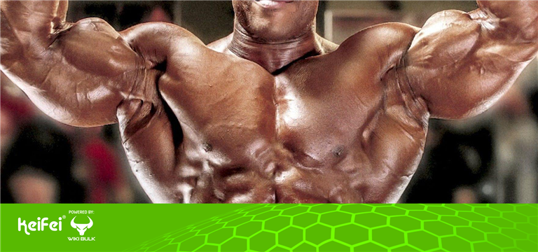 5 Top Muscle Building Supplements