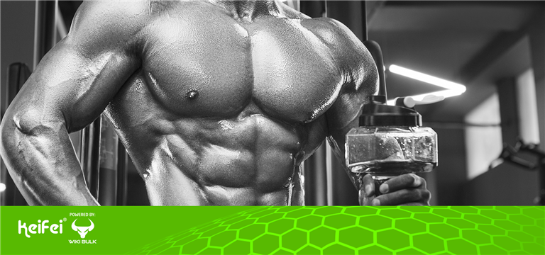 3 Top Muscle Gain Supplements 