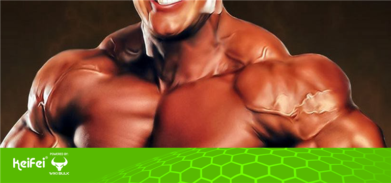 Bodybuilding Bliss with Hulkroid